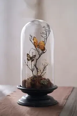 Glass Cloche with Distressed Wood Pedestal Base - Medium by Anthropologie, alternate view