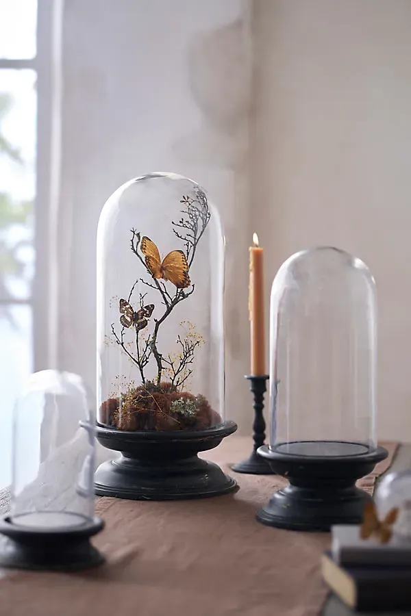 Glass Cloche with Distressed Wood Pedestal Base - Medium by Anthropologie