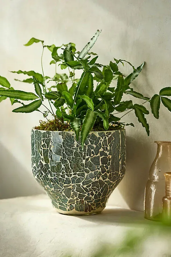 Glass Mosaic Taper Planter - Blue, Glass by Anthropologie
