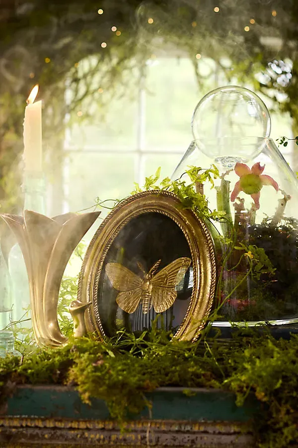 Golden Moth Oval Shadow Box - Black by Anthropologie
