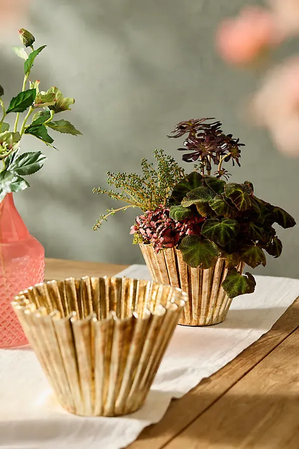 Golden Ruffle Bowl Planter - Gold, Iron by Anthropologie