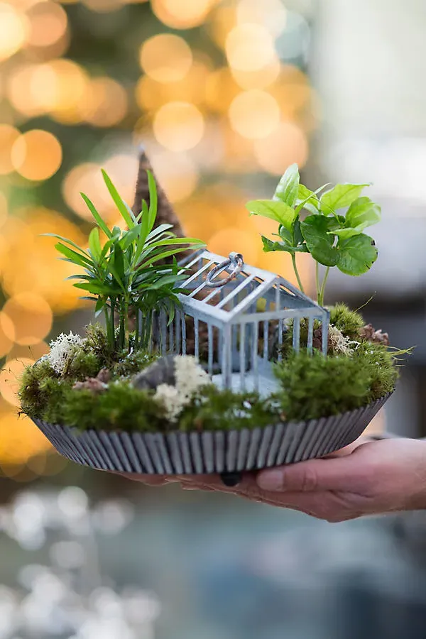 Habit & Form Tart Plant Tray - Grey, Iron by Anthropologie
