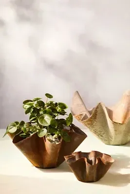 Handkerchief Iron Bowl Planter - Aged Iron by Anthropologie, alternate view