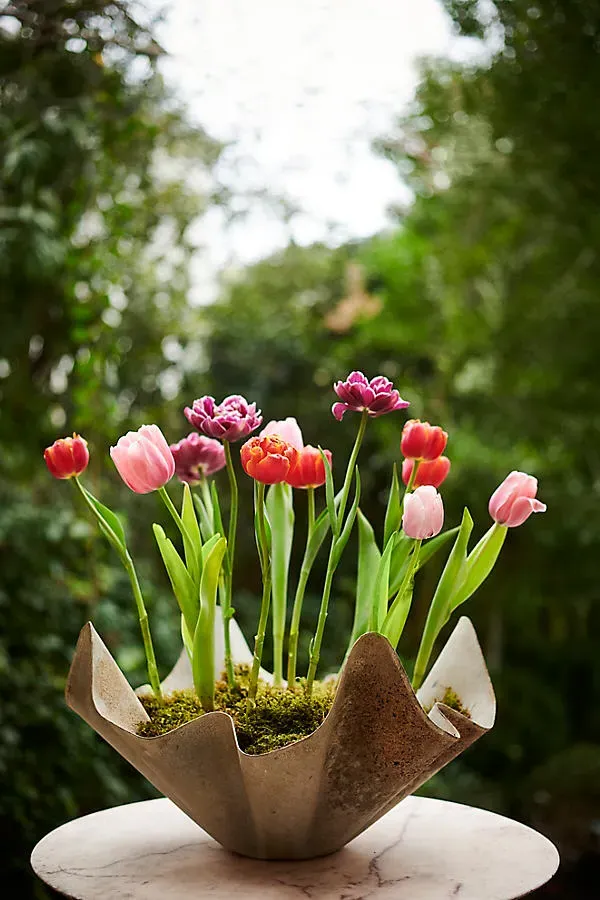Handkerchief Iron Bowl Planter - Aged Iron by Anthropologie