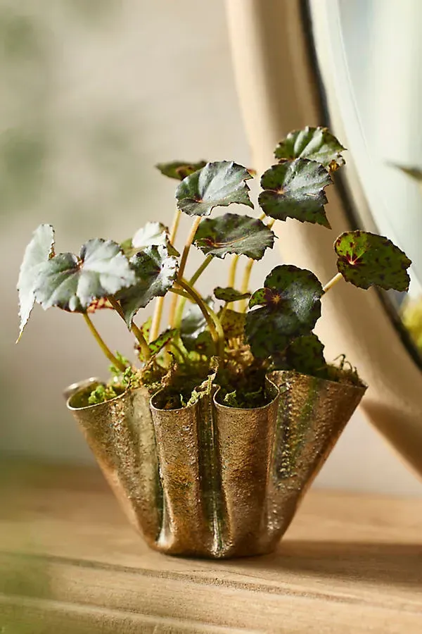 Handkerchief Planter - Gold, Iron product