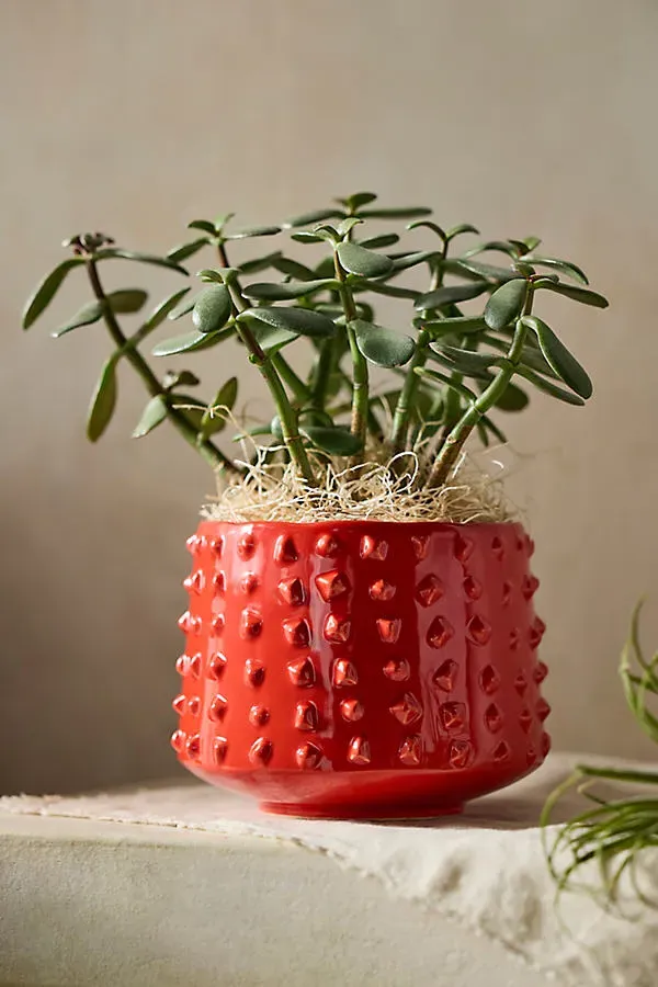 Hobnail Stoneware Planter - Red by Anthropologie