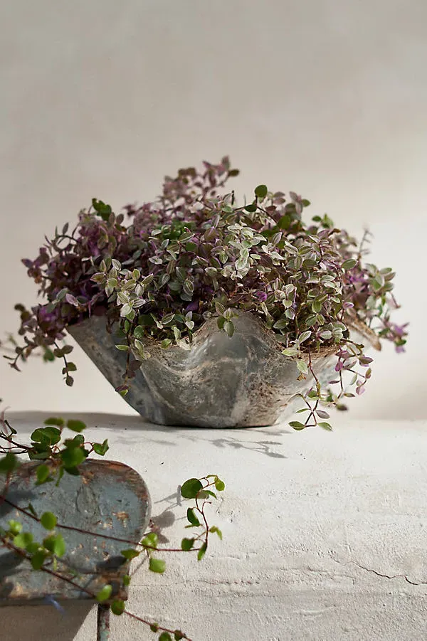 Iron Handkerchief Planter Bowl by Anthropologie