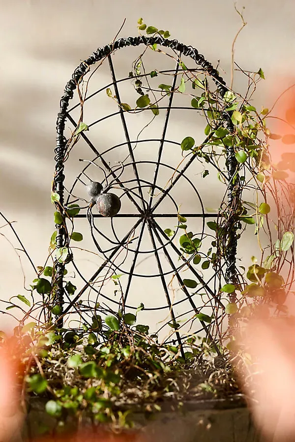 Iron Spiderweb Trellis - Black, Iron product