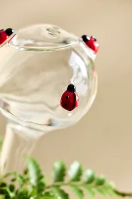 Ladybug Glass Watering Globes Set of 2 - Red product