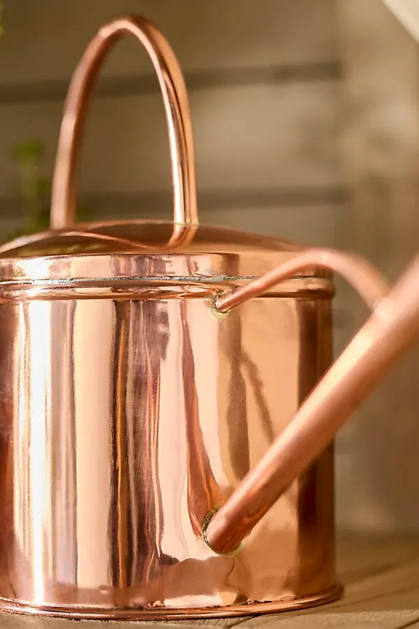 Long Spout Watering Can - Brown, Metal product