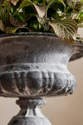 Low Cast Iron Urn Planter - Grey by Anthropologie, image 2