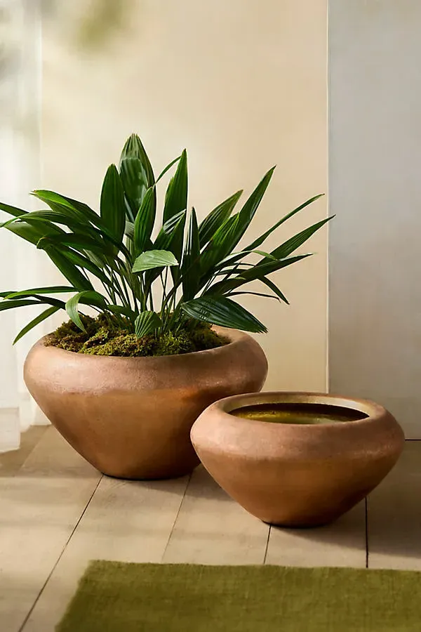 Low Taper Planter - Brown, Aluminum by Anthropologie