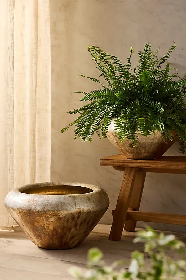 Low Taper Planter - Gold, Aluminum by Anthropologie