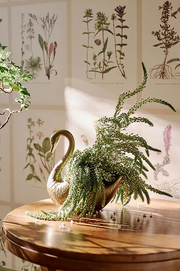 Metal Swan Planter - Bronze, Metal by Anthropologie