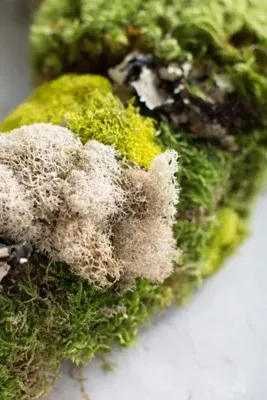 Mixed Moss Hand-Crafted Wreath - Green by Anthropologie, alternate view