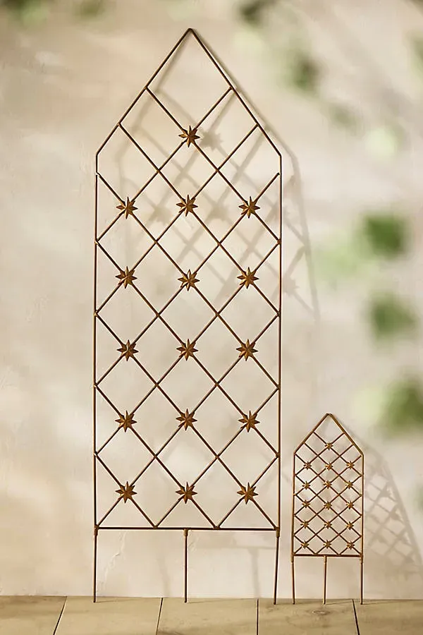 Moravian Star Trellis - Antique Brass, Iron by Anthropologie, image 2
