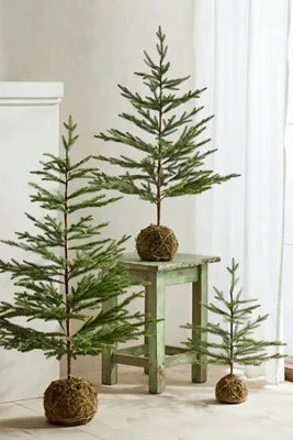 Moss Ball Large Mini Artificial Fir Tree by Anthropologie, image 2