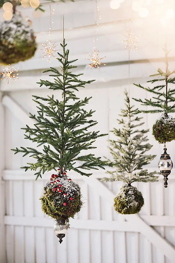 Moss Ball Small Mini Artificial Fir Tree by Anthropologie