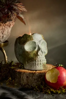 Mossy Skull Crackling Fireside Scented Candle - Grey by Anthropologie, alternate view