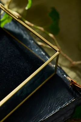Moth Divining Glass Box with Illustrated Lid product