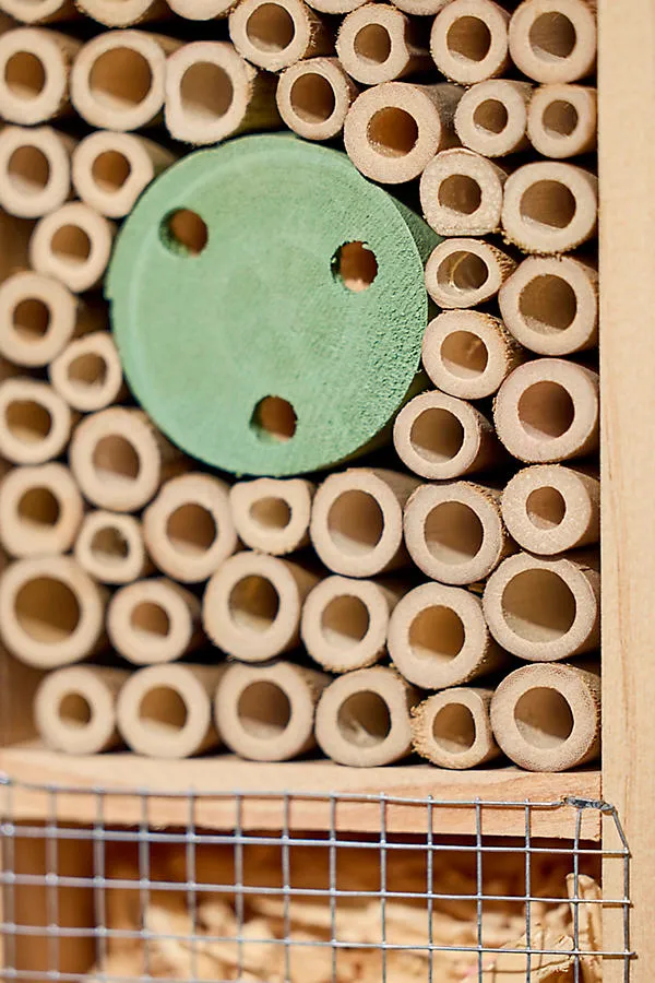 Native Bees Insect Hotel Stake - Green product