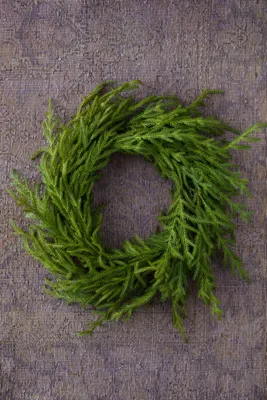 Norfolk Pine Faux Wreath - Small, Plastic by Anthropologie, alternate view