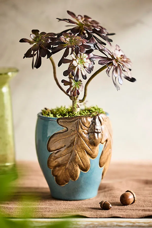 Oak + Acorn Ceramic Planter - Blue by Anthropologie