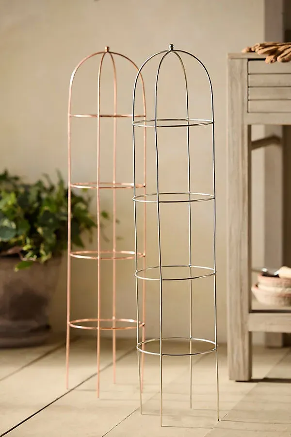 Obelisk Topiary Trellis Frame - Silver, Iron product