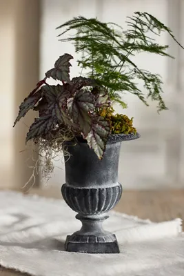 Ornate Cast Iron Urn Planter - Grey by Anthropologie, alternate view