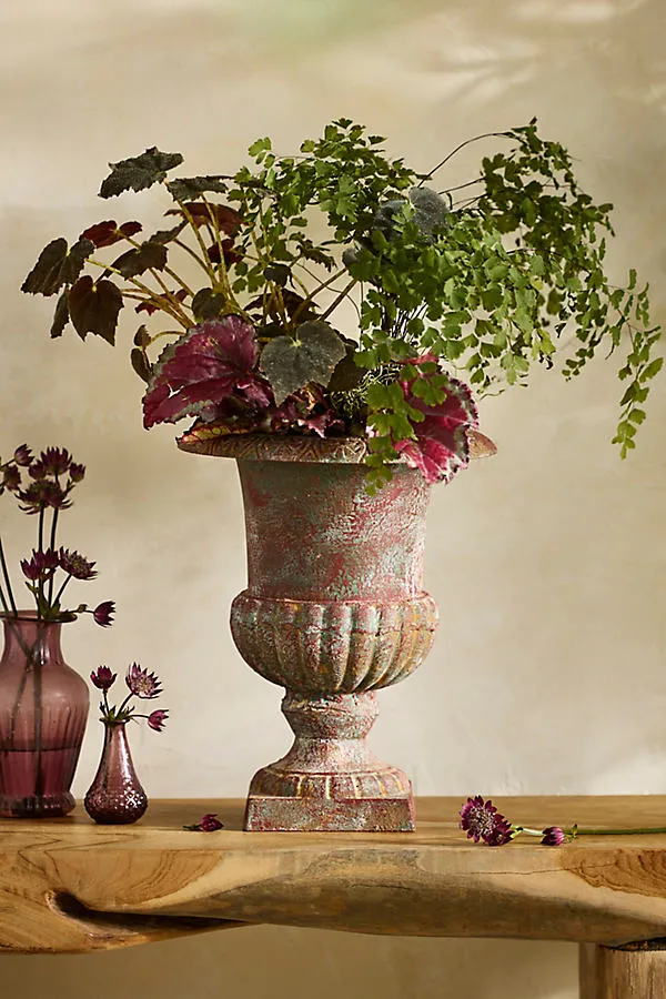 Ornate Cast Iron Urn Planter - Red by Anthropologie