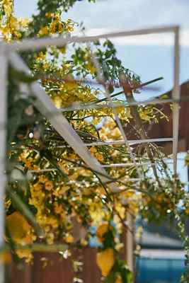 Over-the-Table Trellis Adjustable - White product