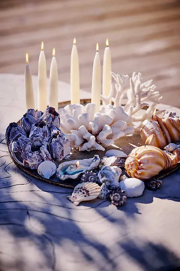 Oyster Shaped Candle - Cotton product