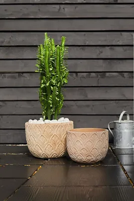 Paloma Ceramic Bowl Planter - Beige, Terracotta product