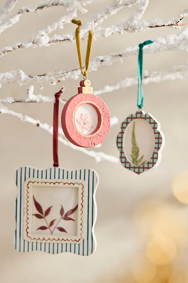 Paper Mache Frame Ornaments, Set of 3 by Anthropologie