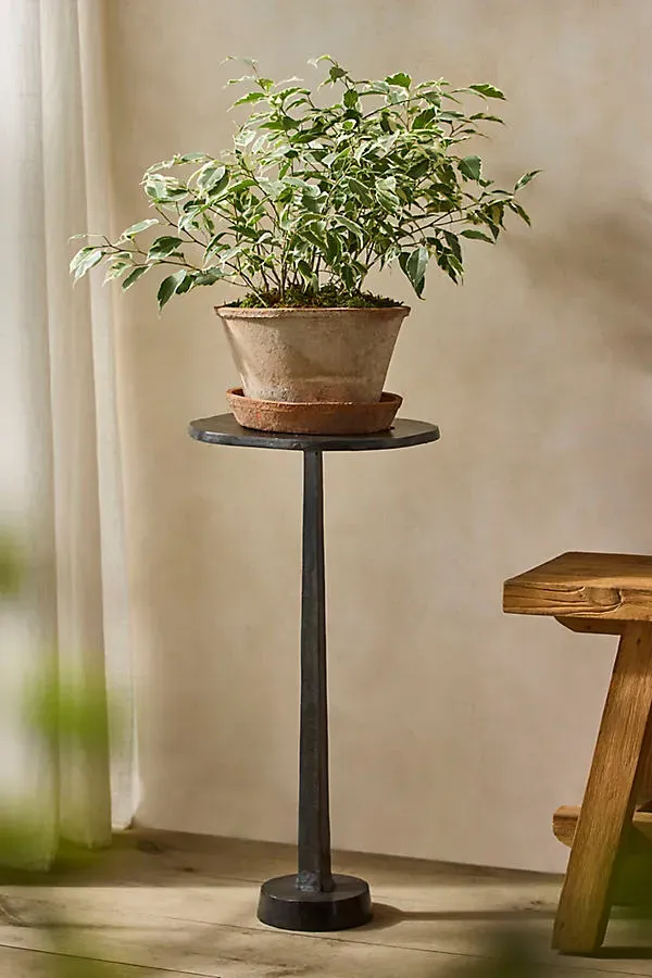 Pedestal Plant Stand - Black by Anthropologie