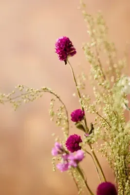 Pink Palette Dried Bouquet product