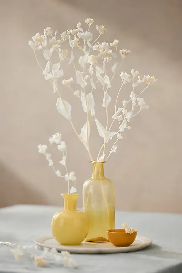 Preserved Bleached Bupleurum Bunch - White by Anthropologie