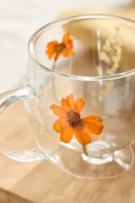 Preserved Floral Glass Mug - Orange, Borosilicate Glass by Anthropologie, alternate view
