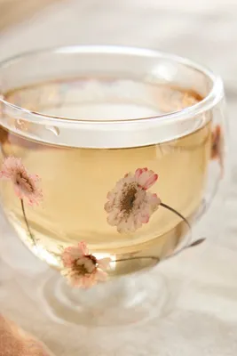 Preserved Floral Glass Mug - Pink, Borosilicate Glass by Anthropologie, image 2