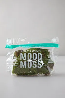 Preserved Mood Moss - Green product