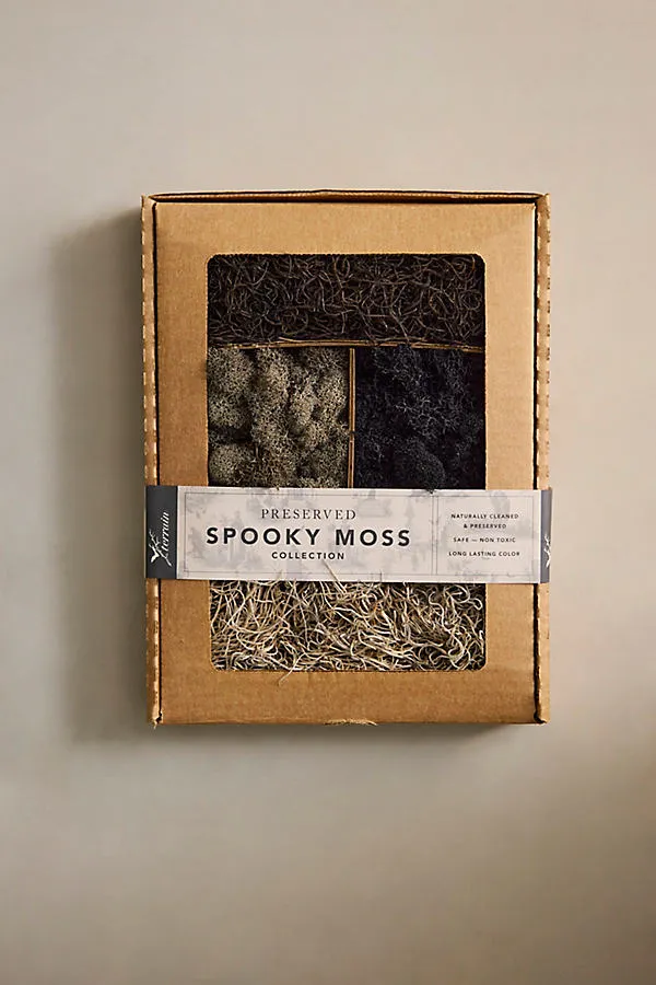 Preserved Moss Collection - Black product