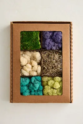 Preserved Moss Collection Springtime Assortment product