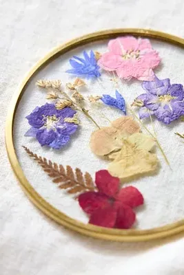 Pressed Floral Coasters Set of 4 - Brass, Glass product
