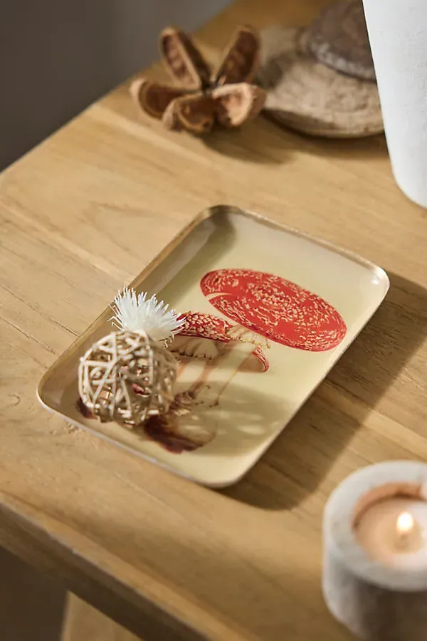 Printed Archival Extra Small Tray - Enameled Iron by Anthropologie