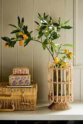 Printed Fabric Medium Box - Orange, Glass and Brass product