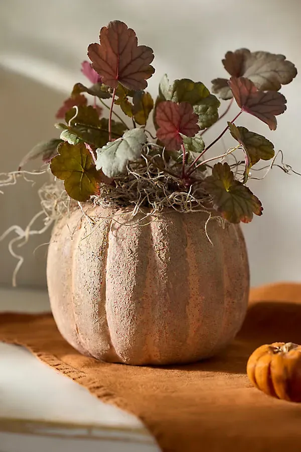 Pumpkin Stoneware Planter - Orange by Anthropologie