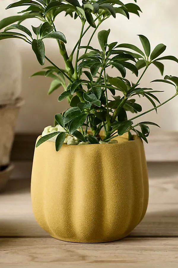 Pumpkin Stoneware Planter - Yellow by Anthropologie, alternate view
