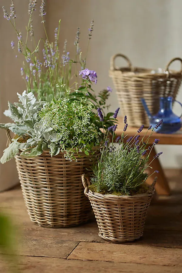 Rattan Tapered Basket Planter - Beige product