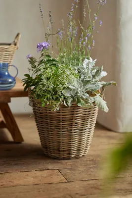 Rattan Tapered Basket Planter - Beige product
