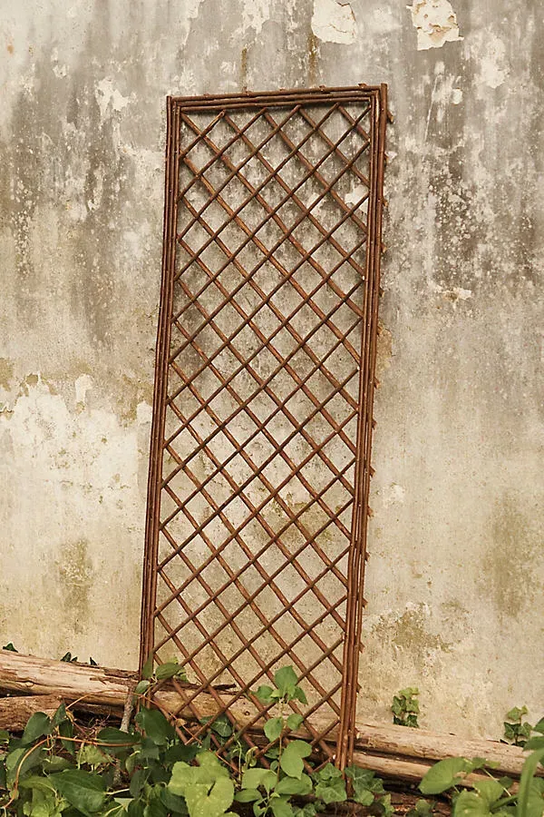 Rectangle Willow Trellis Set of 2 - Natural by Anthropologie